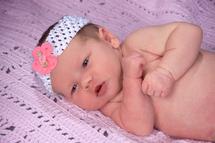 Newborn and Baby Photographs